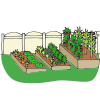 Vegetable Garden Picture