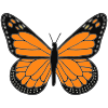 Monarch