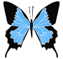 Butterfly Stencil