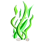 Grass