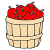 Apples