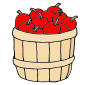 Apples