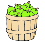 Apples