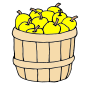 Apples