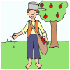 Johnny Appleseed Picture