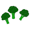 Broccoli Picture