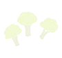 Cauliflower Stencil