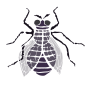Fly
