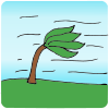 Windy