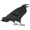 Crow