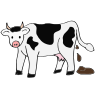 Cow Poop