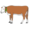 Cow