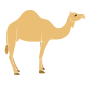 Camel Stencil