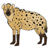 Hyena Picture