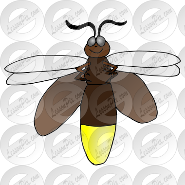 Lightning Bug