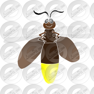 Lightening Bug