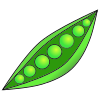 Pea Pod Picture