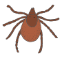 Tick Picture