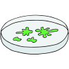 Petri Dish