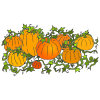 Pumpkins Picture