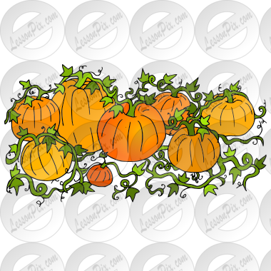 Pumpkin Patch