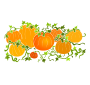 Pumpkin Patch