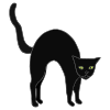 big+black+cat Picture