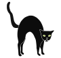 Halloween Cat