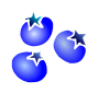 Blueberries