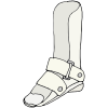 Orthotics