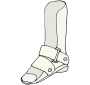 Orthotics