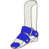 Orthotics