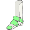 Orthotics