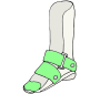 Orthotics