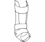 Orthotics  Outline