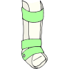 Orthotics