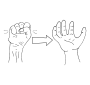 Release  Outline
