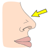 Nose