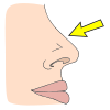 Point+to+Nose Picture