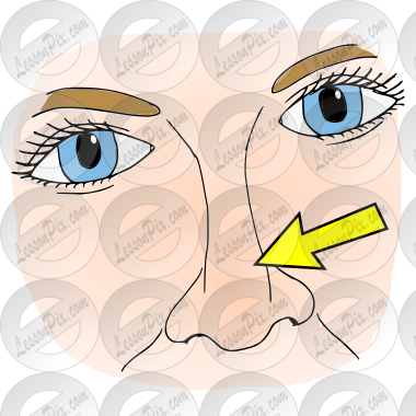 Nose