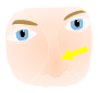 Nose