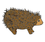 Porcupine Picture