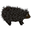 Porcupine Picture