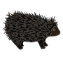 Porcupine Picture