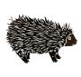 Porcupine Stencil