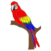 Parrot Picture