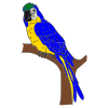 Parrot Picture