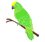 Parrot Stencil