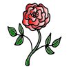 Red Rose