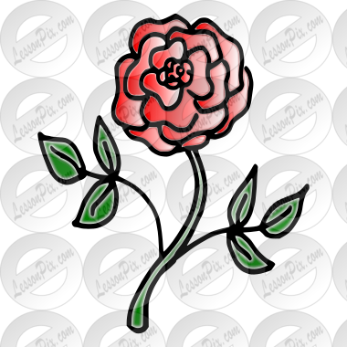 Red Rose
